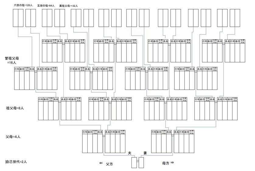 ファミリーヒストリー図手書用紙