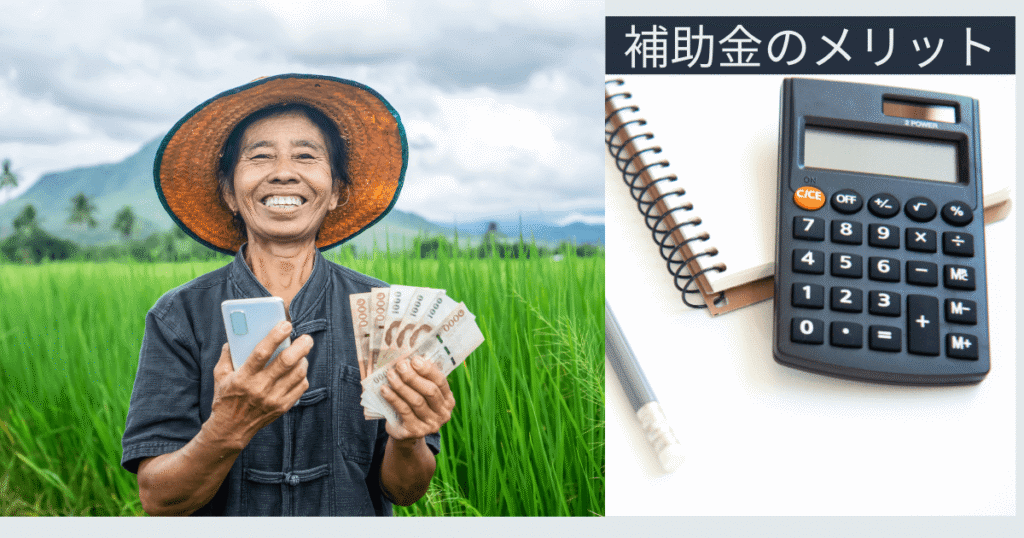 補助金のメリット