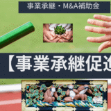 【事業承継・M&A補助金】初心者向け事業承継促進枠の簡単解説