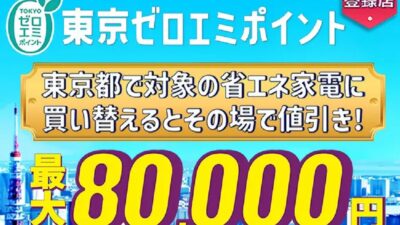 【東京ゼロエミポイント2025】制度の概要_２台で５万円ゲット可能